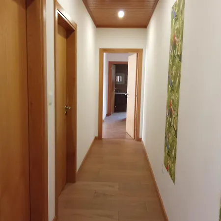 Passadicos Do Paiva E Ponte 516 *