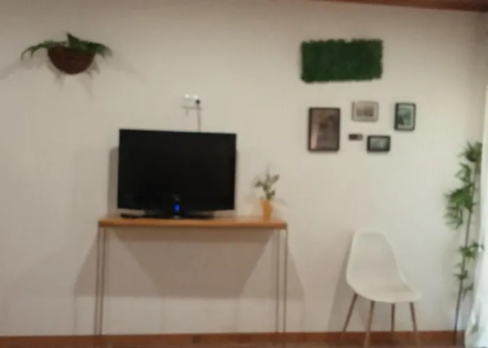 Passadicos Do Paiva E Ponte 516 Πανσιόν