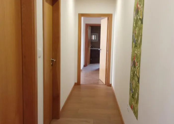 Passadicos Do Paiva E Ponte 516 *